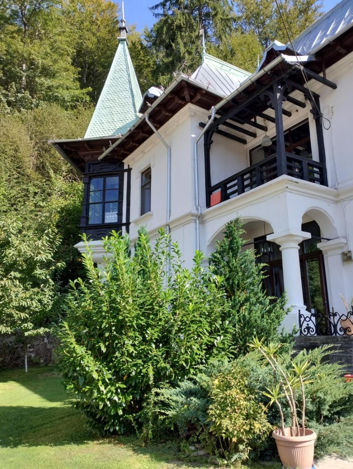 Hotel Il Piccolo Castello Buşteni Exterior foto