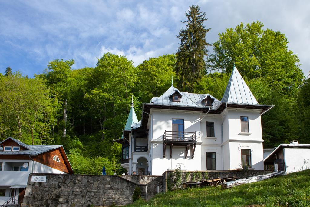 Hotel Il Piccolo Castello Buşteni Exterior foto